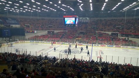 Arena TV Program 的图像结果