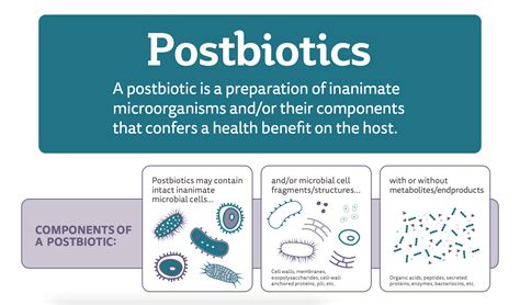 Behind the publication: Understanding ISAPP’s new scientific consensus definition of postbiotics ...