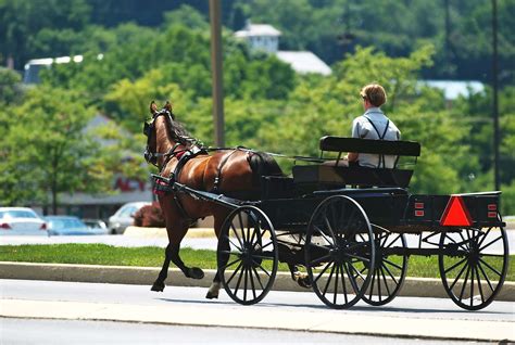 Amish | Definition, History, Beliefs, Education, Children, Lifestyle ...