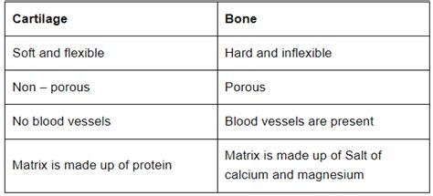 Class 9 Science Chapter 6 Question Answers - Tissues