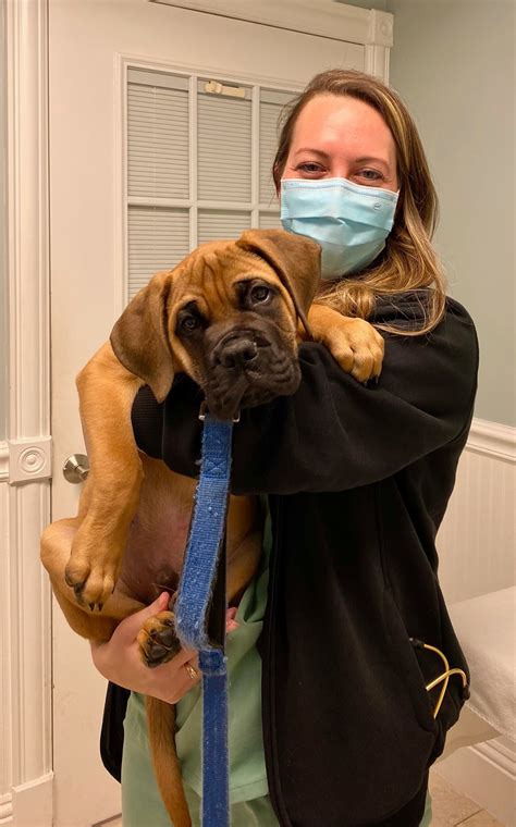 Calusa Veterinary Center – Boca Raton, FL