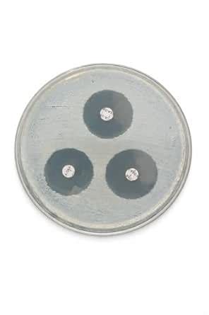 LML Antimicrobial Susceptibility Disk - Oxacillin 1 mcg (OXA 1) as per ...