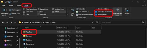 Image result for Hidden Files in ProgramData Folder