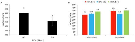 Bacillus aryabhattai Mitigates the Effects of Salt and Water Stress on ...
