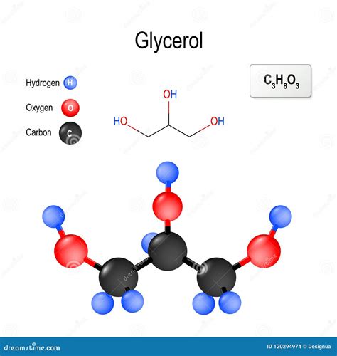 Glycogen Vs Glycerol