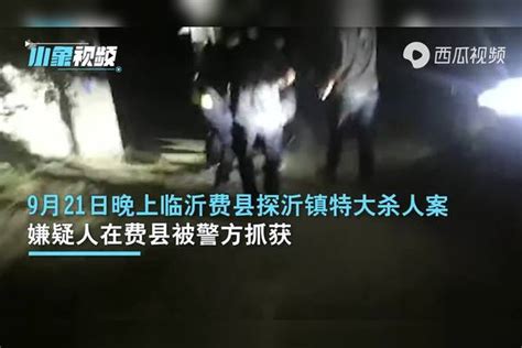 网上留言煽动对李总理进行暴力 45岁男子被捕 - YouTube
