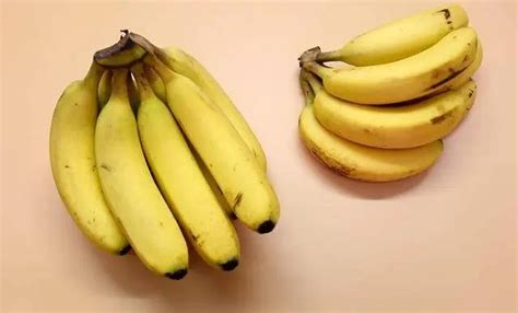 香蕉是买直的好还是弯的好？许多人都还不清楚，看看下次别买错了__财经头条