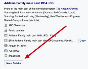 Image result for How to Use Wikimedia Commons
