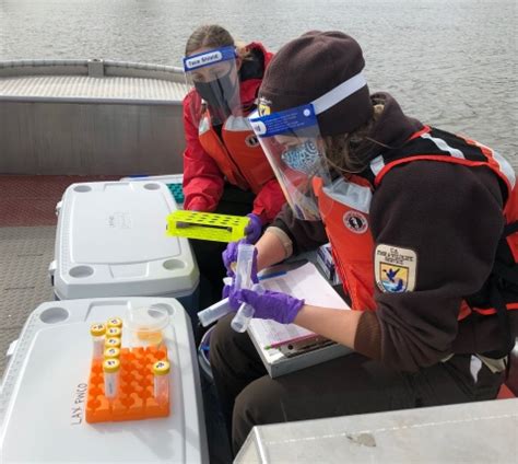 Biologists use DNA to locate invasive and endangered species | U.S ...