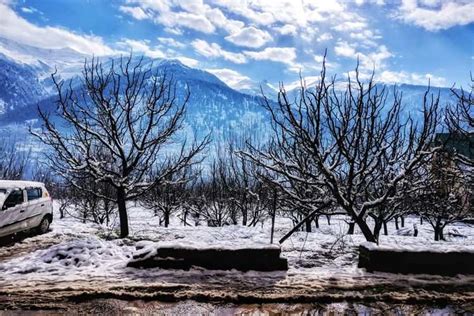 Postcards from Manali as it gets wrapped in snow | Times of India Travel