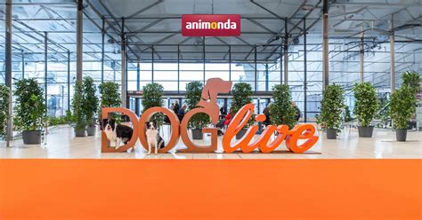 DOGlive 2024 – Münsters Hundemesse , Messe und Congress Centrum Halle ...