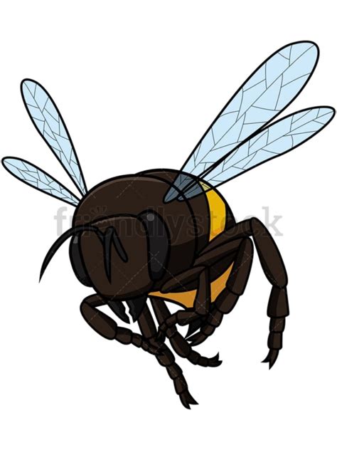Image result for Bee Flying Front View
