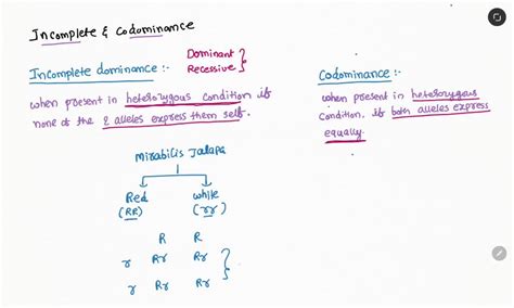 Image result for Recessive Allele Example