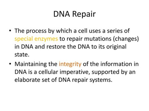 Repairing DNA 的图像结果