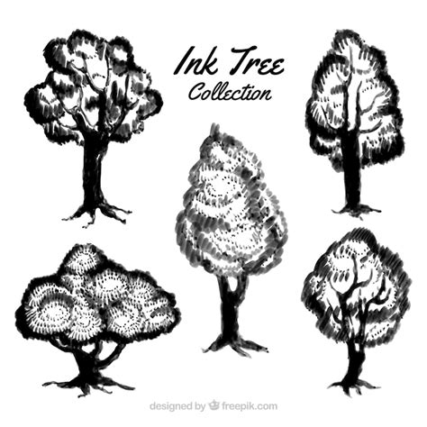 Baum Schwarz Weiss Bilder - Kostenloser Download auf Freepik