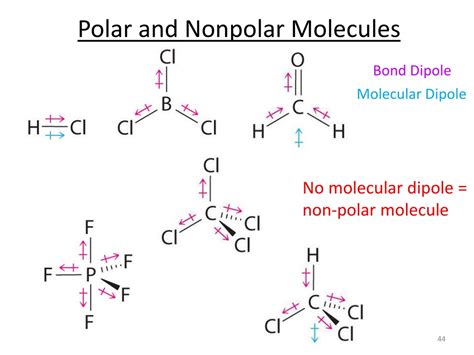 PPT - Five Basic Molecular Structures PowerPoint Presentation, free download - ID:428703
