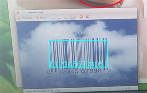 Decode the Bar Code 的图像结果