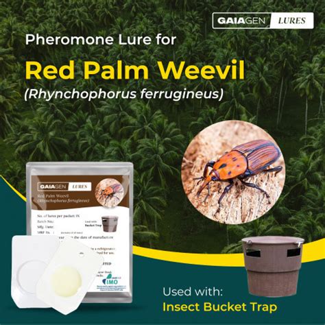 Gaiagen Pheromone Lure for Red Palm Weevil
