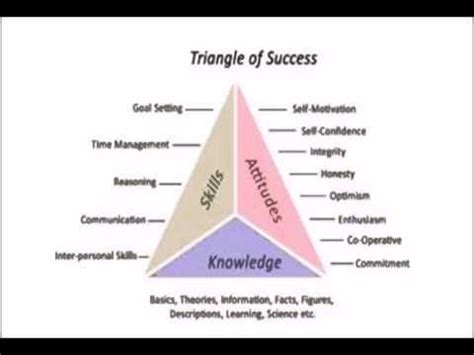What is organizational conduct? Learn extra concerning the human facet ...