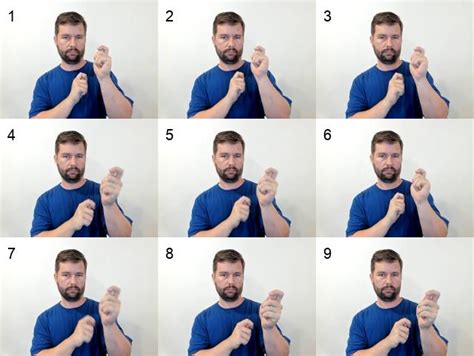 Image result for Sign Language Fish
