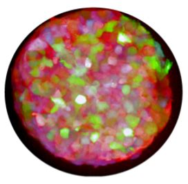 Image result for Molecular Bioengineering