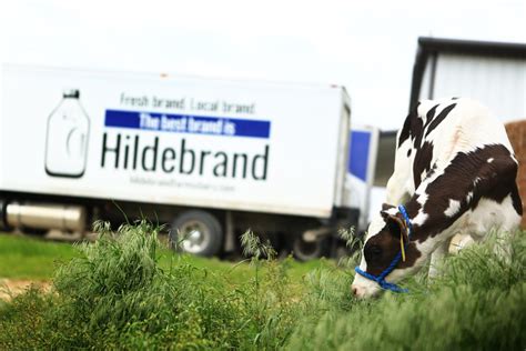 Hildebrand Farms Dairy