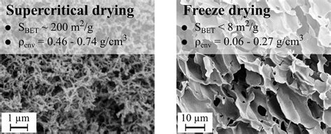 Porous Starch Materials via Supercritical- and Freeze-Drying