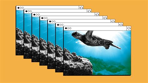 Ocean 的图像结果