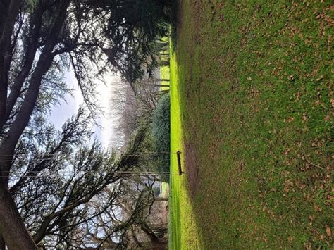 Excellent - Review of Caer Rhun Hall Hotel, Conwy - Tripadvisor