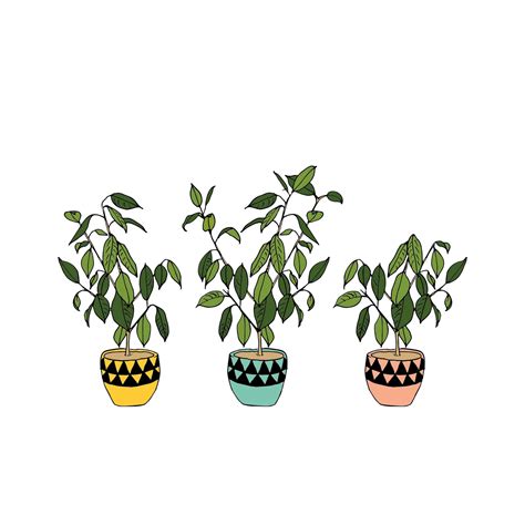 Image result for Java Spring Boot Logo