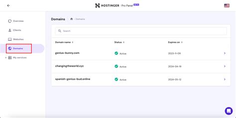 How to Use Hostinger Pro Panel for Client Website Management