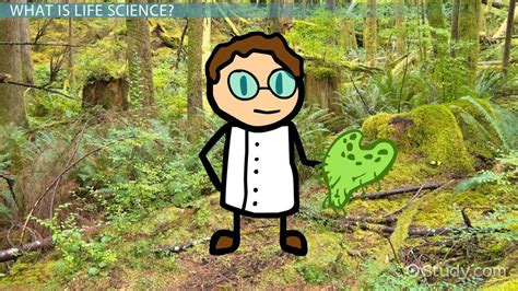 Image result for Computer Usage in Science