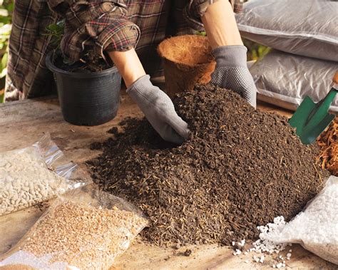 How To Make The Perfect DIY Seed-Starting Mix: Easy Recipes | Gardening ...