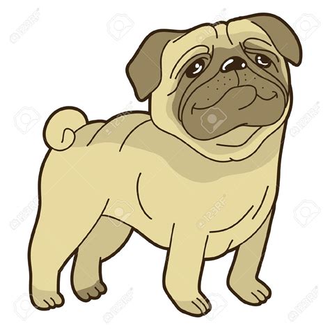 Pugs clipart 18 free Cliparts | Download images on Clipground 2025