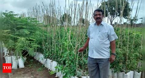 Retired official on a mission to conserve Bilva patri trees | Mangaluru ...
