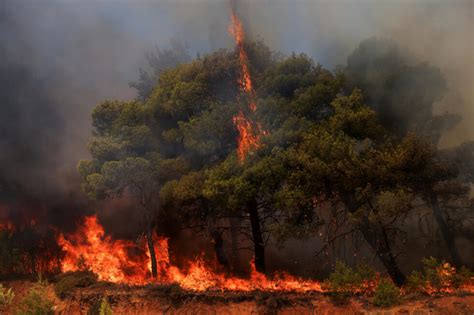 Evacuaciones en Grecia, mientras un incendio forestal se extiende a las ...