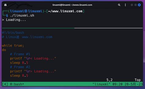 Visualization of Bash Commands 的图像结果