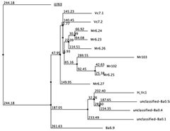 Principal Component and Structural Element Analysis Provide Insights ...