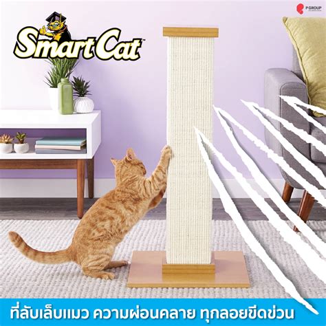 เสาลับเล็บเเมว SmartCat The Ultimate Scratching Post | Shopee Thailand