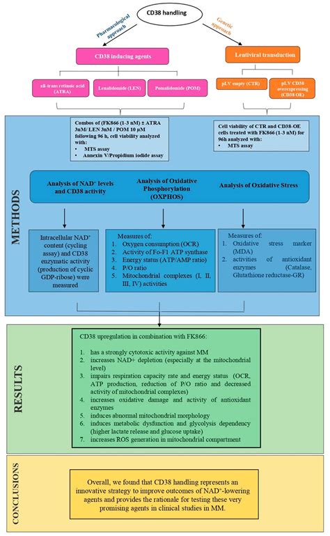 CD38-Induced Metabolic Dysfunction Primes Multiple Myeloma Cells for NAD+-Lowering Agents
