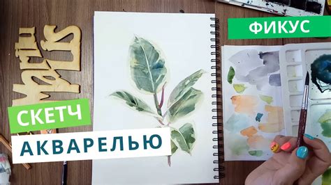 Акварельный скетчинг с нуля. Рисую фикус - YouTube