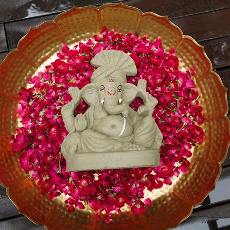 Buy 1FEET Modaya Eco-Friendly Ganpati | Plant-A-Ganesha Online in India ...