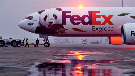 Spot-on and FedEx - Transportation And Logistics Service Provider from ...
