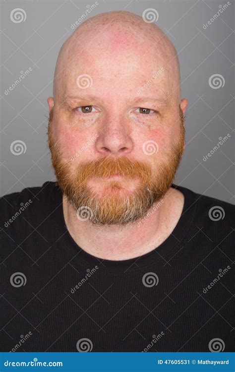 Bald Man with a beard stock image. Image of gray, person - 47605531