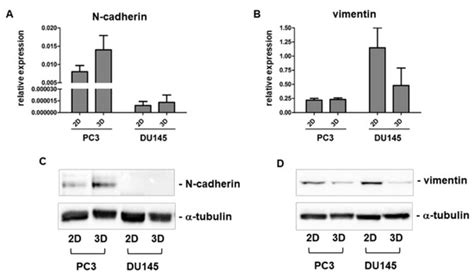 Cells | Special Issue : Advances in Human Cell Culture Techniques ...