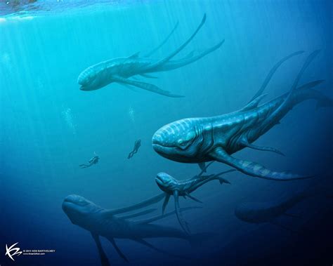 concept aliens | Alien creatures, Concept art world, Creature concept
