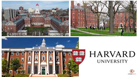 Top 8 Ivy League Schools: About, Courses and Fees in INR | CollegeSearch