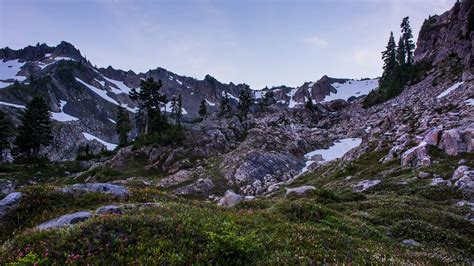 Wallpaper mountains, rocks, trees, grass, snow, landscape hd, picture ...