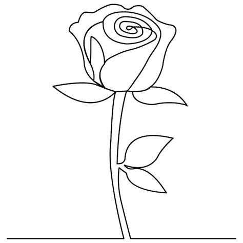 Rose flower single line art continuous one line drawing of isolated ...