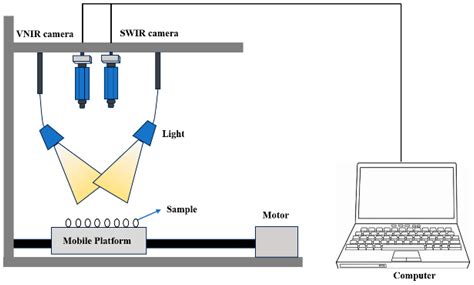 Identification and Classification of Coix seed Storage Years Based on ...